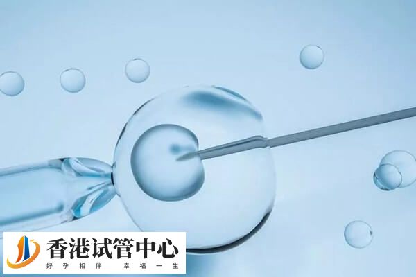 移植的胚胎类型因人而异