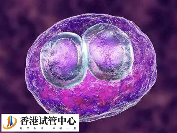 移植胚胎前要看年龄和身体状态等多方面