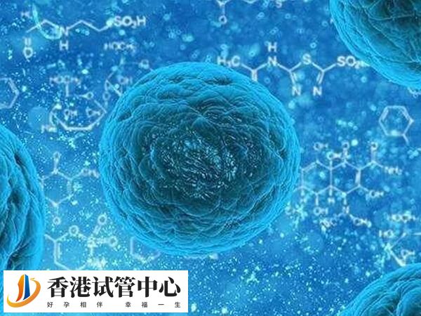 35岁以下年轻女性的卵子质量通常较好