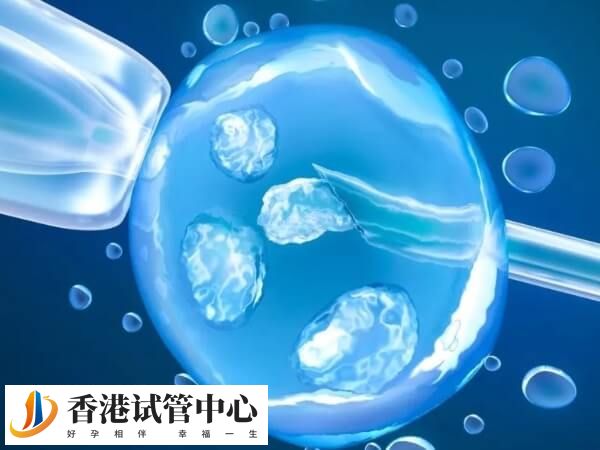 试管婴儿移植6bc冻囊胚需要提前一天解冻复苏吗？