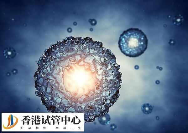 冻胚移植流程是怎么样的