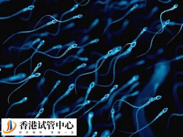 自然生育的多精入卵的发生率约为1%-3%