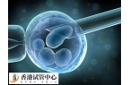 4ba囊胚移植成功率多高