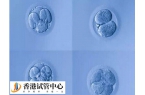 4cc等级的囊胚质量差，胚胎后移植成功率