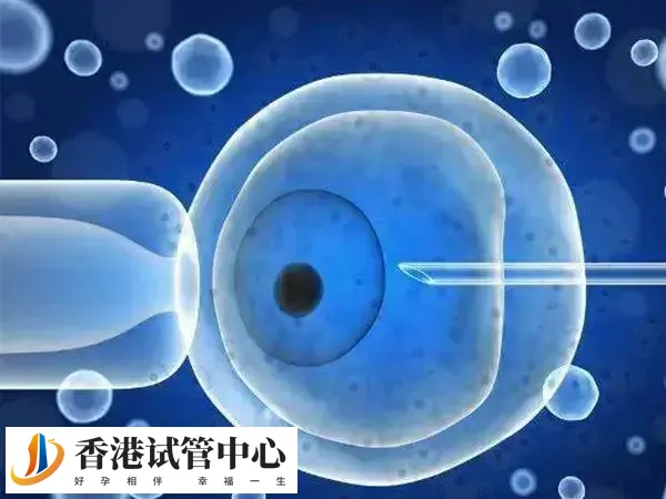 促排期间内分泌失调影响卵泡发育